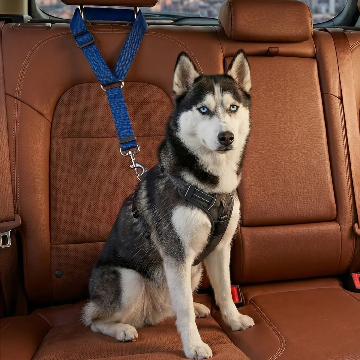 Dog Car Safety Harness Straps Blue, Length Adjustable Pet Safety Leash for Suvs Cars Trucks, Universal Fit Pet Travel Accessory Dual LED Retractable Bite Resistant Inflatable Balls Set Chew Outdoor Interactive Bungee Toy