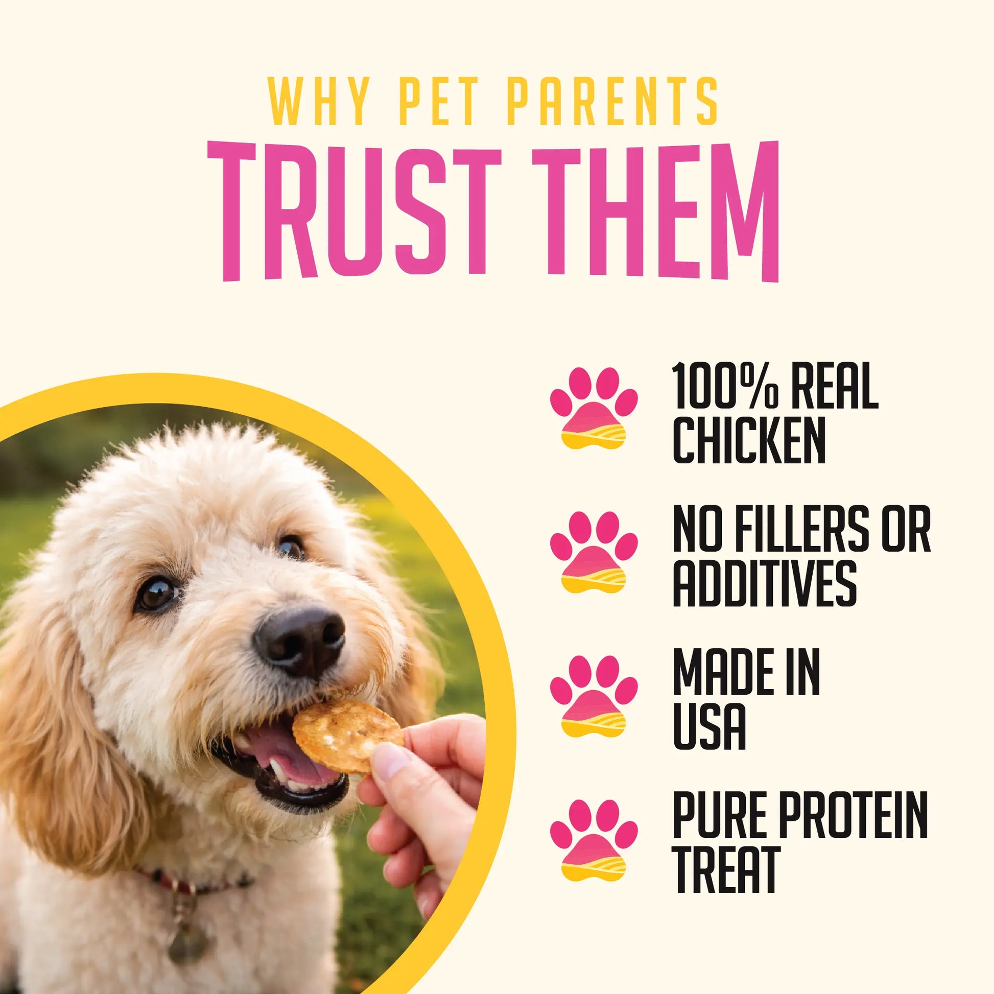 Sitstay Chicken Chips | Single Ingredient Dog Treats | 100% Real Chicken Breast | Made in USA (Colorado)