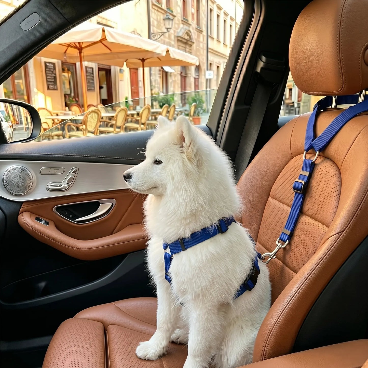 Dog Car Safety Harness Straps Blue, Length Adjustable Pet Safety Leash for Suvs Cars Trucks, Universal Fit Pet Travel Accessory Dual LED Retractable Bite Resistant Inflatable Balls Set Chew Outdoor Interactive Bungee Toy