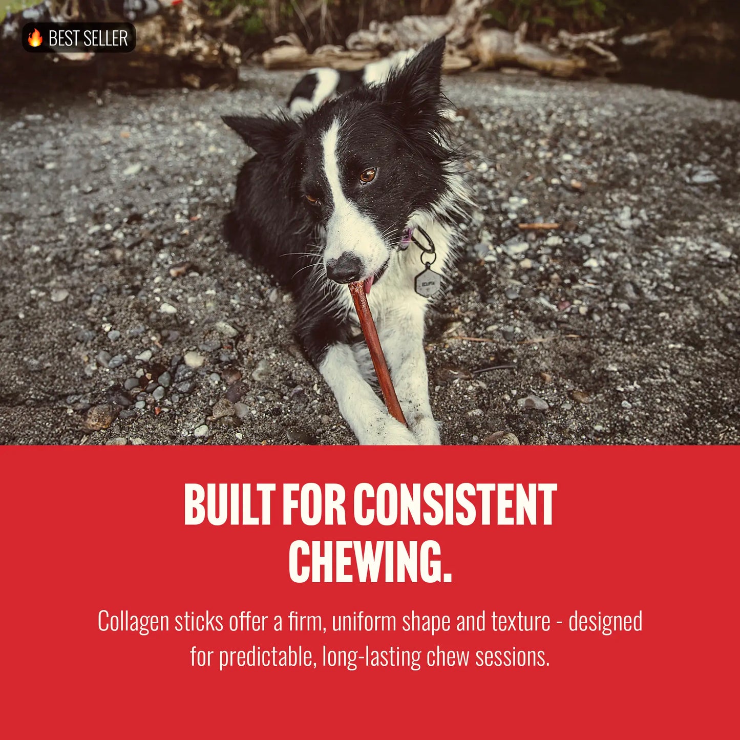 Natural Farm 4 Inch Bully Coated Gourmet Collagen Sticks - 10 Count, 95% Collagen, Premium Beef, Long-Lasting Chew Treats for Dogs