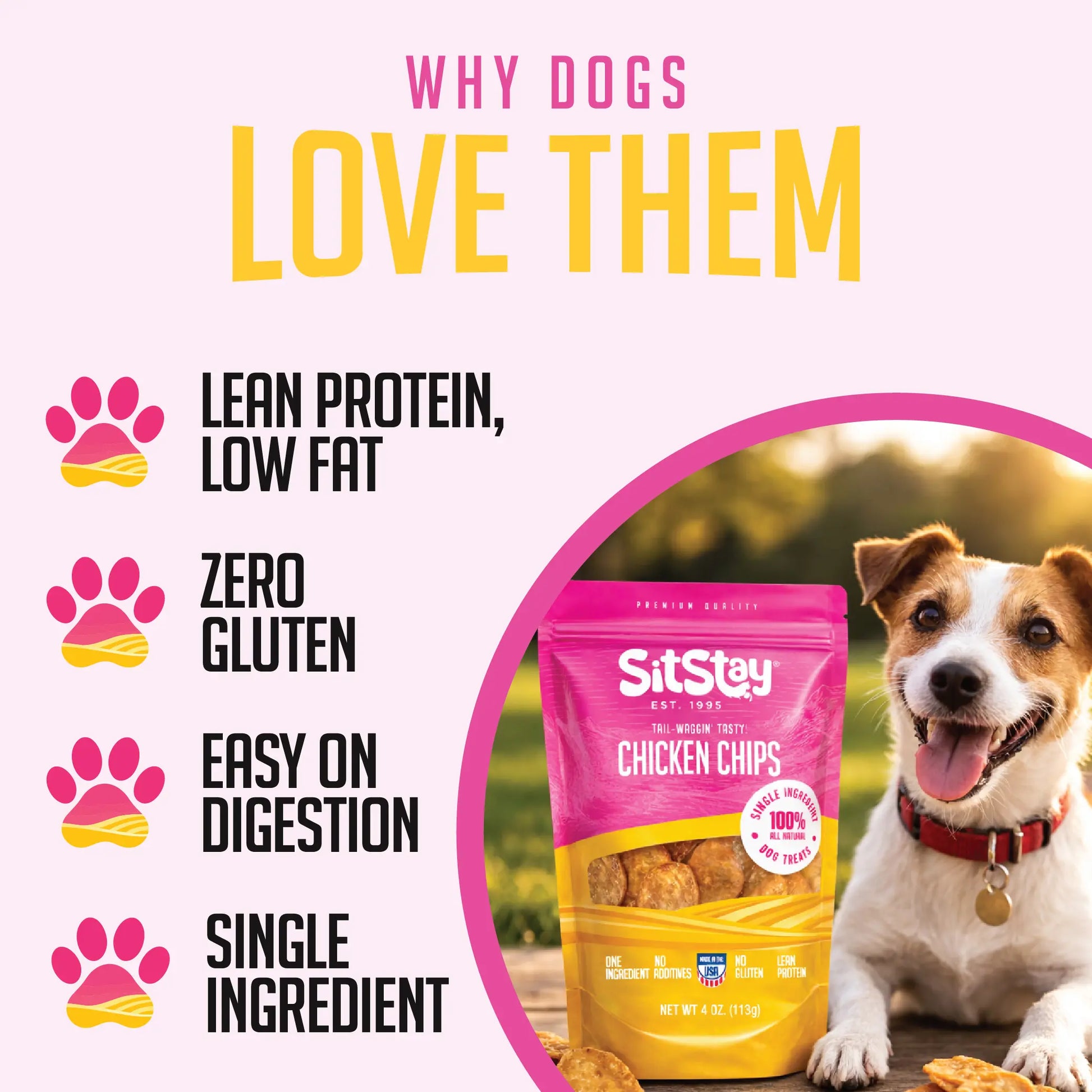 Sitstay Chicken Chips | Single Ingredient Dog Treats | 100% Real Chicken Breast | Made in USA (Colorado)