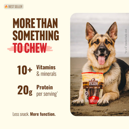 Natural Farm 4 Inch Bully Coated Gourmet Collagen Sticks - 10 Count, 95% Collagen, Premium Beef, Long-Lasting Chew Treats for Dogs